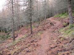 IMG_0279.JPG