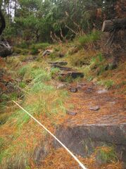 week 031.jpg