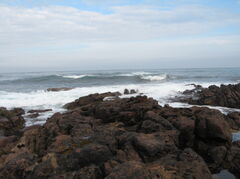 IMG_0893.JPG